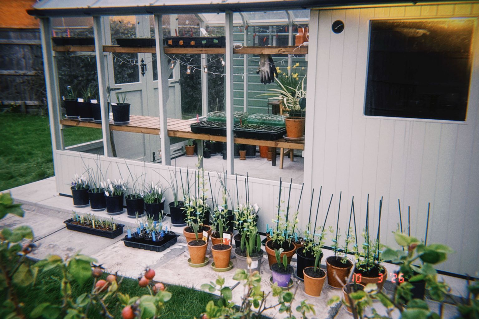 Project image for Studio and Life